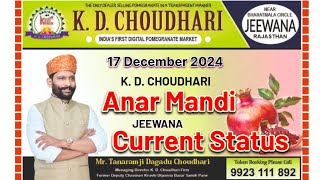 JEEWANA RAJASTHAN - K D CHOUDHARI ANAAR MANDI - CURRENT STATUS