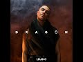 LIAMOO: Dragon (Audio)