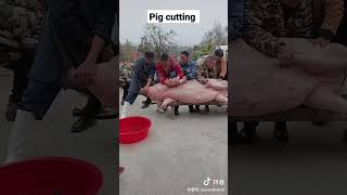 pig cutting in China #shorts #youtubeshorts #youtube #chicken