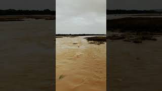 Penuganchiprolu Munneru Bridge || Near Tirupathamma Ammavari Devasthanam