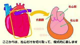 C ２心周期basic