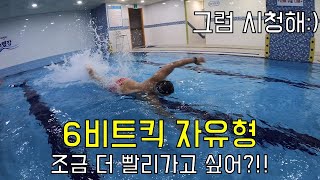 [물탱크] 좀 더 수영 빨라지고 싶어?! - 자유형 6비트킥