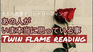 【すべての星座/ツインフレーム】これから2人に起きること☆お相手の本当の気持ち、あなたへの想い☆【大人の恋愛】この動画を見つけた時がタイミング《タロットリーディング》