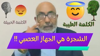 ما هي الكلمة الطيبة ؟ وما هي علاقة الشجرة الطيبة بالجهاز العصبي ؟ | حقائق مذهلة تنشر لأول مرة😍