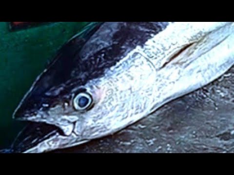Skilled Hands Cutting Large Fish At The Traditional Market At The Puri