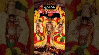 #Venkateswara Swamy దివ్య మంగళ విగ్రహంతో పాటు మరో  నలుగురు విగ్రహ మూర్తులున్నారు #tirumala #youtube