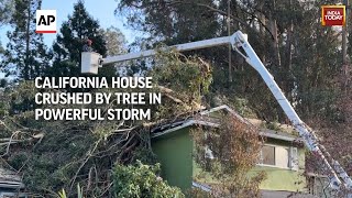 US News: Giant Tree Crushes Oakland Home As Powerful Storm Lashes Northern California