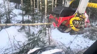 Nuoren metsän kunnostusta valmet 901.3 ja nisula 500h