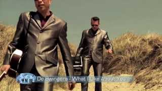 De Swingers - What I Like About You