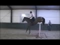 5yo kwpn mare schooling at home