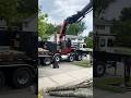 Video of tree removal by Nate Oren #arborist #treeservice #palfinger #treeremoval