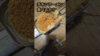 メスティンでチキンラーメン！