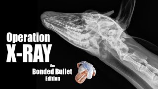 Operation X Ray - Brobee's 2024 Battle of the Bonded Bullets