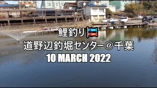 【鯉釣り】道野辺釣堀センター＠千葉（2022年3月10日）