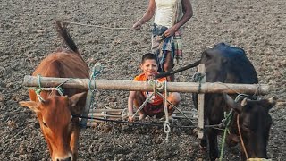 বর্ষা শেষে গ্রামের অপরূপ সৌন্দর্য দেখতে কার না ভালো লাগে,