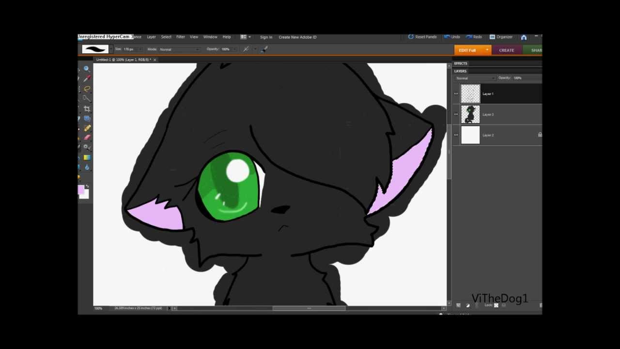 Warrior Cats Speedpaint Hollyleaf Youtube