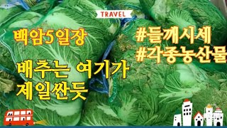 배추 엄청 싸게 파는곳-백암 5일장