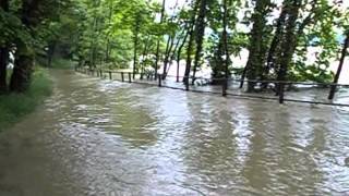 Hochwasser am Rhein 1.6.2013