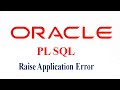 RAISE_APPLICATION_ERROR IN PL SQL
