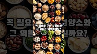 현대인들에게 꼭 필요한 영양소 Nutrients Necessary for Modern People #건강 #정보 # #지식