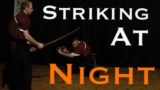 Samurai Martial Arts - Striking in the Dark