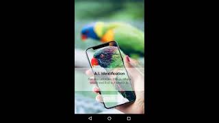 Google Cloud Vision API in Android App(called AI Insight)
