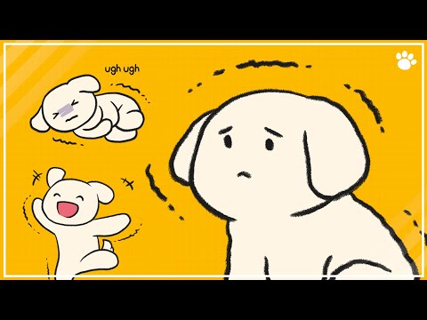 Is shaking a puppy bad?