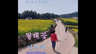 23 04 01 청산도--찔레꽃 - 이미자(가사포함 )