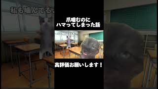 【猫ミーム】爪噛むのにハマってた時の話#猫ミーム #猫meme #実話