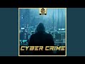 Cyber Crime