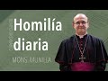 Homilía 16.10.2024 Miércoles de la semana 28 del Tiempo Ordinario