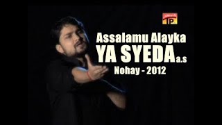 Assalamu Alayka Ya Syeda ع | Nohay 2012 | Syed Raza Abbas Zaidi