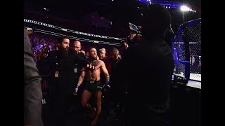 Conor McGregor vs Khabib Team Brawl After UFC