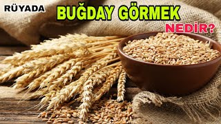 Rüyada Buğday Görmek Un Görmek Nedir (RÜYA TABİRLERİ)