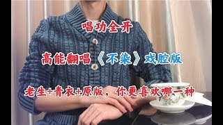 【翻唱】把《不染》改成戏腔版，唱功全开，老生+青衣+原版，不一样的情感变化。