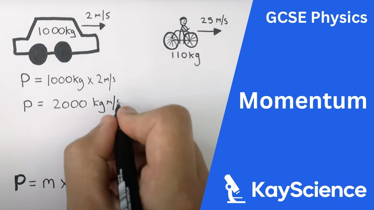 Gcse Physics Calculating Momentum P M V Youtube