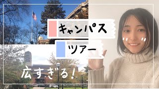 【アメリカ留学】ミシガン大学ってどんなところ？大学構内 徹底的じゃない調査！University of Michigan -Ann Arbor Campus Tour ☆