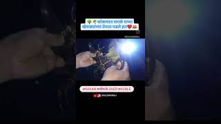 कोकणात सगळेजण सध्या खेकड्यांच्या प्रेमात पडले हत | 😍खेकडेLover |#kokan #crab #khekde #kurle #mansoon