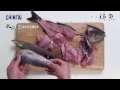 「我流・今野の魚さばき」 鶏魚（いさき）の三枚おろし編（ how to fillet isaki chicken grunt into three pieces）