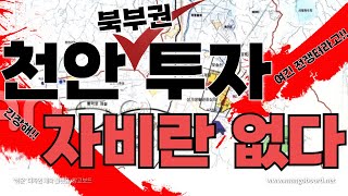 천안 북부권 투자 / 자비란 없다 / #콕부동산연구소