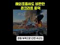 해외 조종사 전문가도 비판한 무안공항 콘크리트 둔덕 제주항공 비행기사고 무안공항해외반응