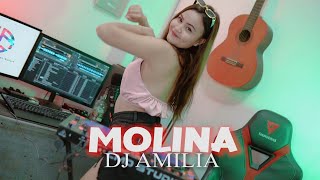 MOLINA CHACA VIRAL TIKTOK - ( DJ AMILIA ) REMIX TERBARU 2022 VIRAL