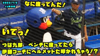 つば九郎　ベンチに座ってたら伊藤コーチにヘルメットた叩かれる！　2023/7/5 vs横浜