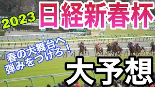 [競馬予想] 2023 日経新春杯 春の大舞台へ弾みをつけろ！