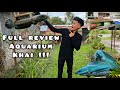 Full Review Aquarium Khai | Tank Channa Limbata Khai | Super Padu Mart !!!