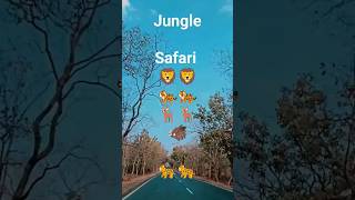 jungle safari ! #shortsfeed #youtubeshorts #viral #trending #shorts #shortvideo #short #travel #art