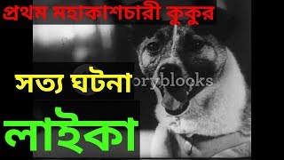 লাইকার মর্মান্তিক কাহিনী //The sad story of laika in bangla// A true story of space dog laika