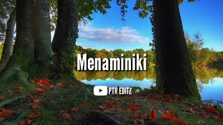 😍 Menaminiki song ❤ || PTR editz