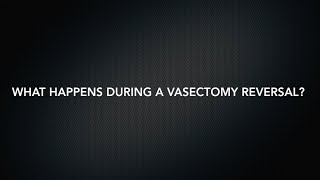 Dr. Aaron Spitz - What Happens During a Vasectomy Reversal?