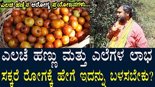 ಎಲಚಿ ಹಣ್ಣು ಮತ್ತು ಎಲೆಗಳ ಲಾಭ ಸಕ್ಕರೆ ರೋಗಕ್ಕೆ ಹೇಗೆ ಬಳಸಬೇಕು?